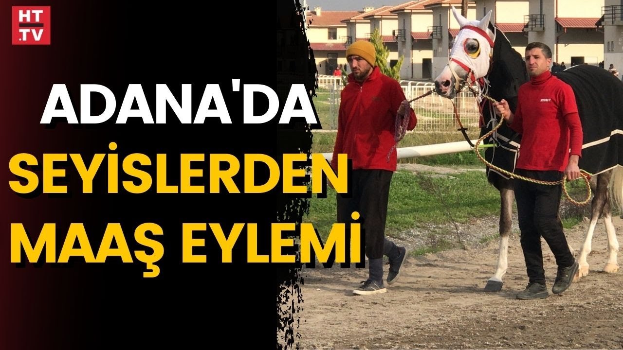 Seyislerden maaş eylemi... Seyisler Adana'da iş bıraktı