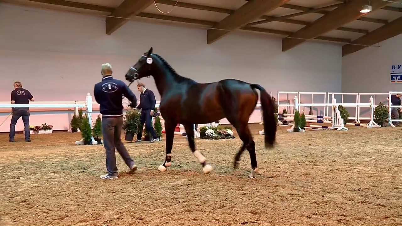 H v Diamant de Semilly x Baloubet du Rouet