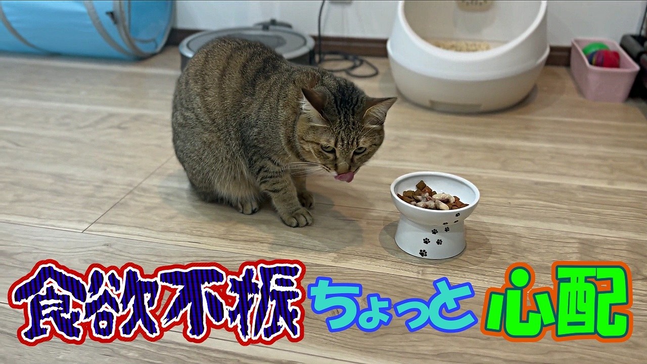 食事の量が極端に減ると心配ですね...