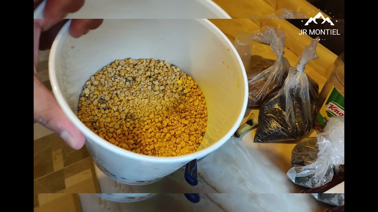 COMIDA PARA CENZONTLES