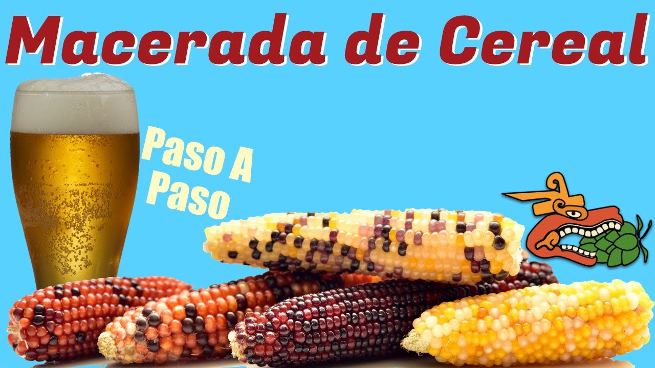 Macerado de cereal para cerveza casera