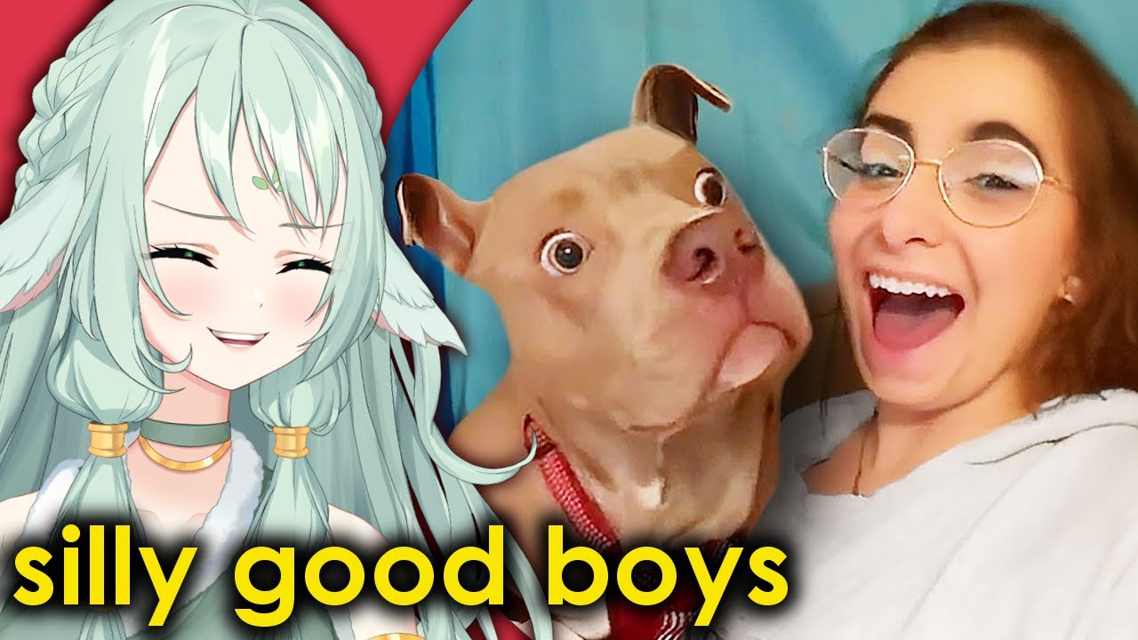 Best Dog Videos of the Decade | EtsuNamu Reacts to Daily Dose of Internet