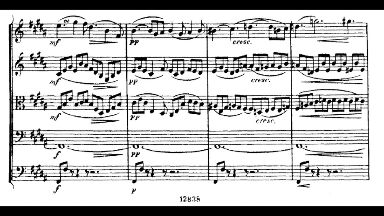 Antonín Dvořák - Nocturne in B Major Op.40 (with score)