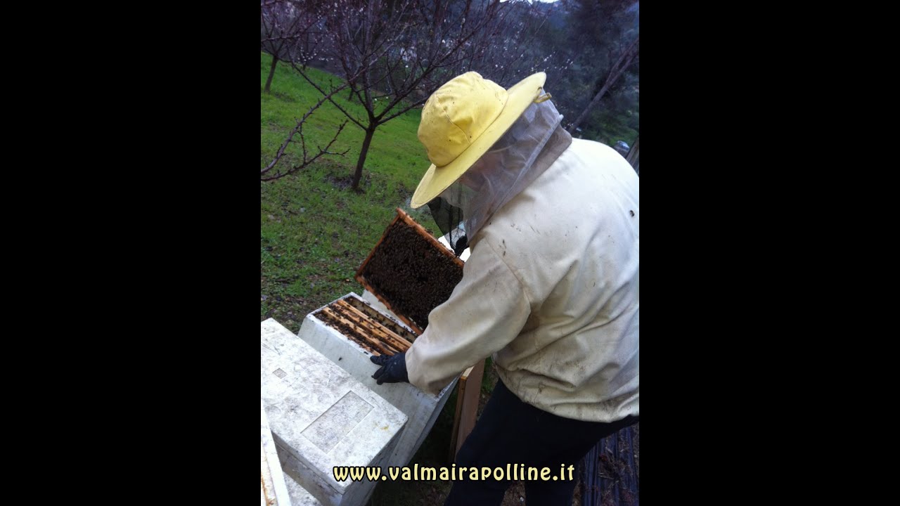 Lavori in apiario