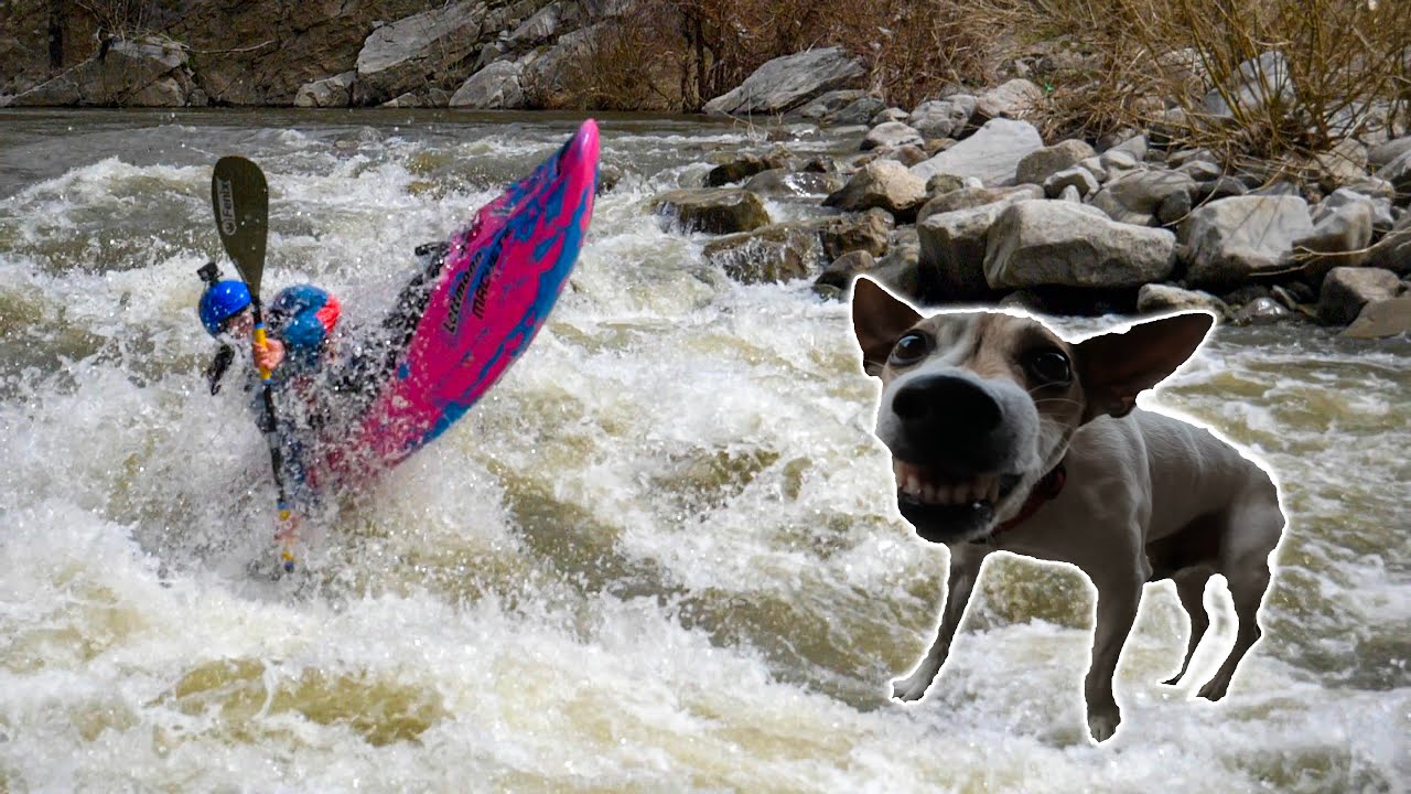 STICKY Holes and SCARY Dogs in BULGARIA