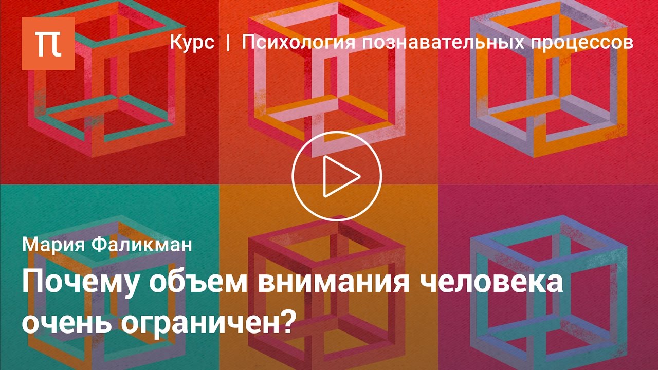 Виды и свойства внимания — Мария Фаликман