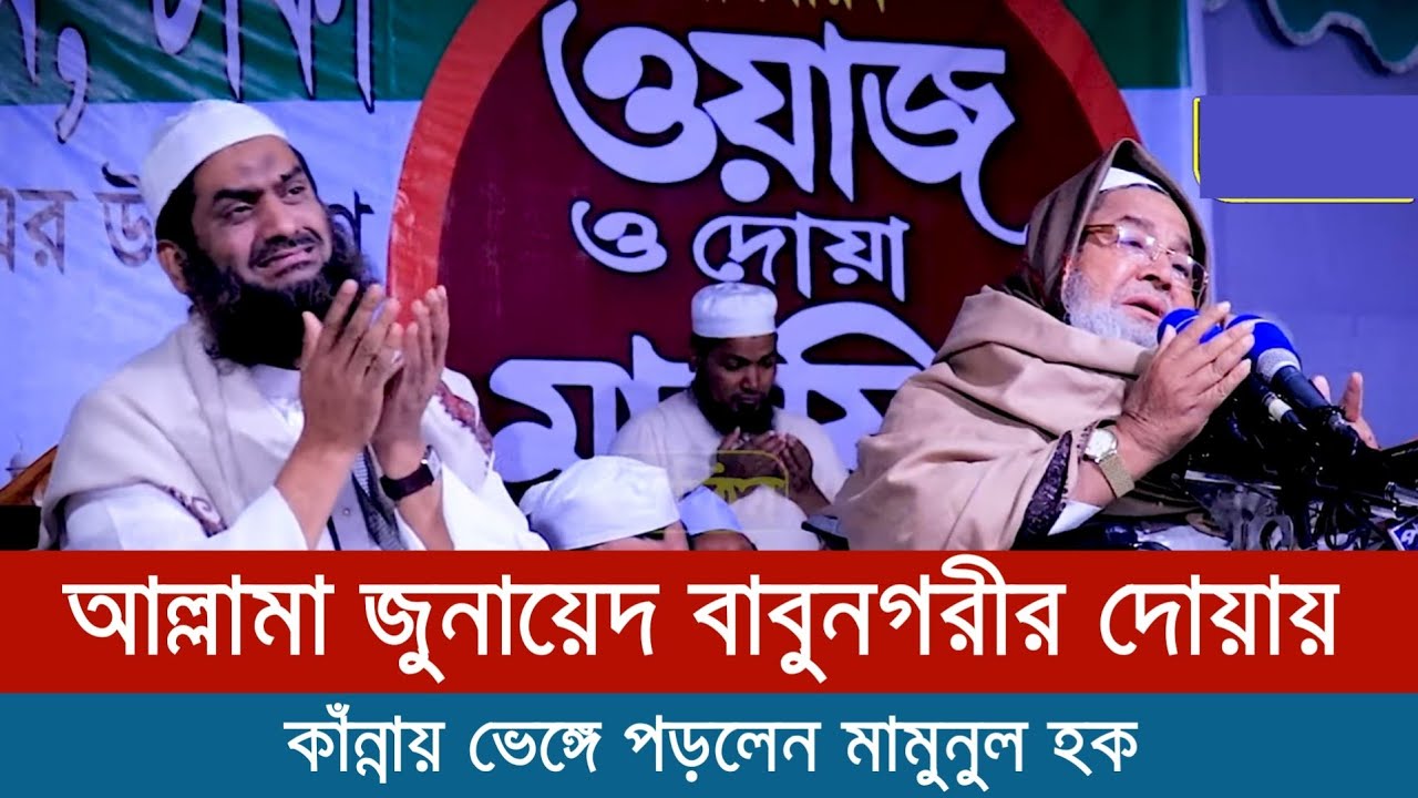 আল্লামা জুনায়েদ বাবুনগরীর দোয়ায় কাঁন্নায় ভেঙ্গে পড়লেন আল্লামা মামুনুল হক | Allama Mamunul Haque