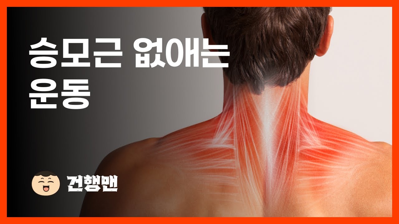 승모근 순삭 운동법!