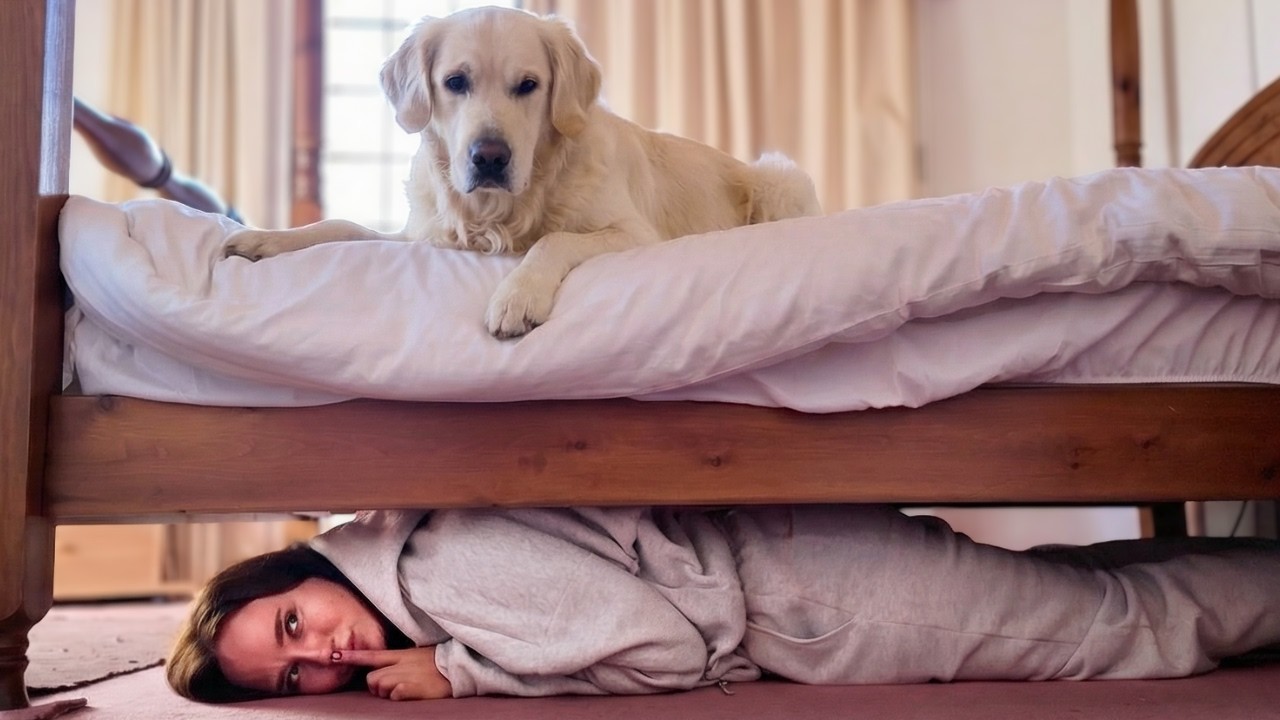 Hide and Seek with My Golden Retriever &ndash; He Found Me Every Time!
