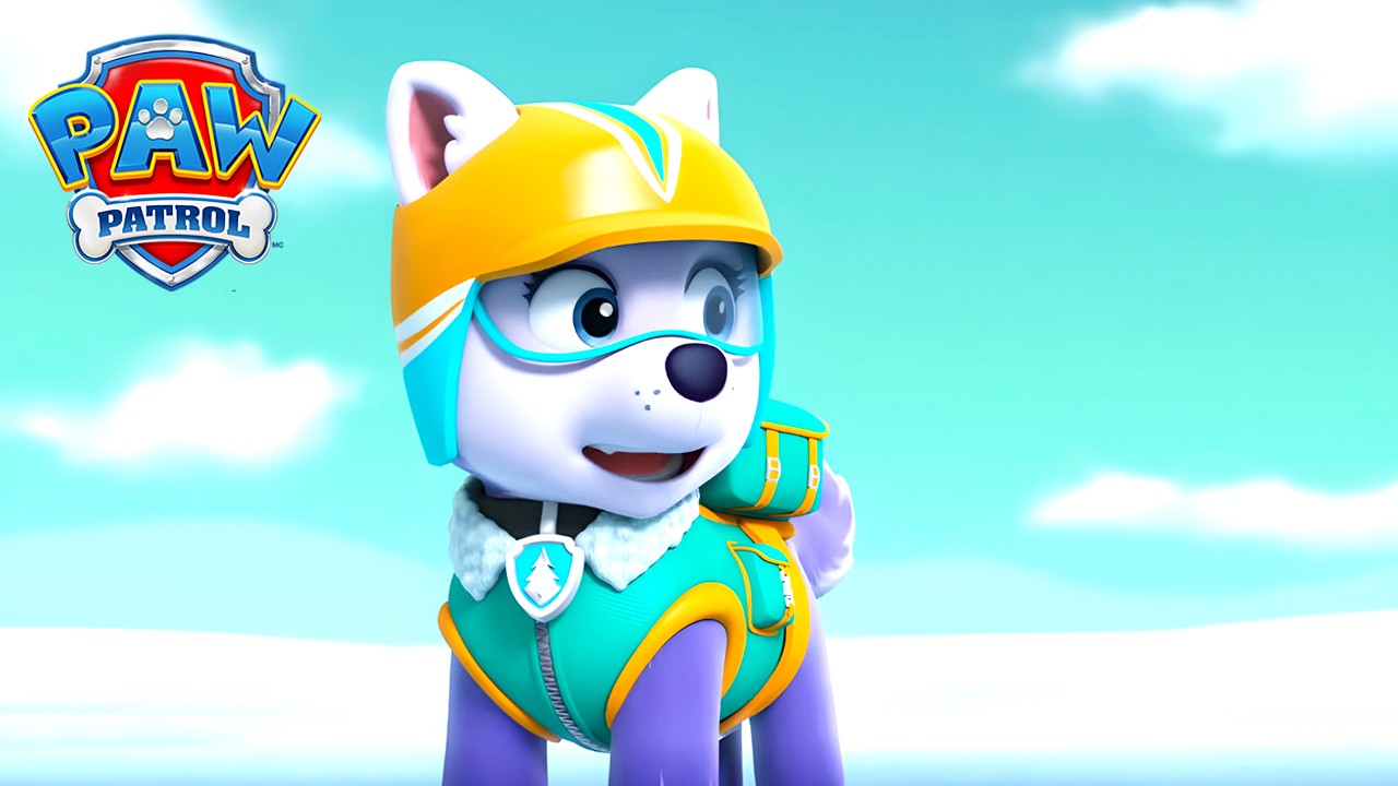 Soccorso in situazioni di freddo per Paw Patrol - PAW Patrol I cuccioli Episodi Italiano