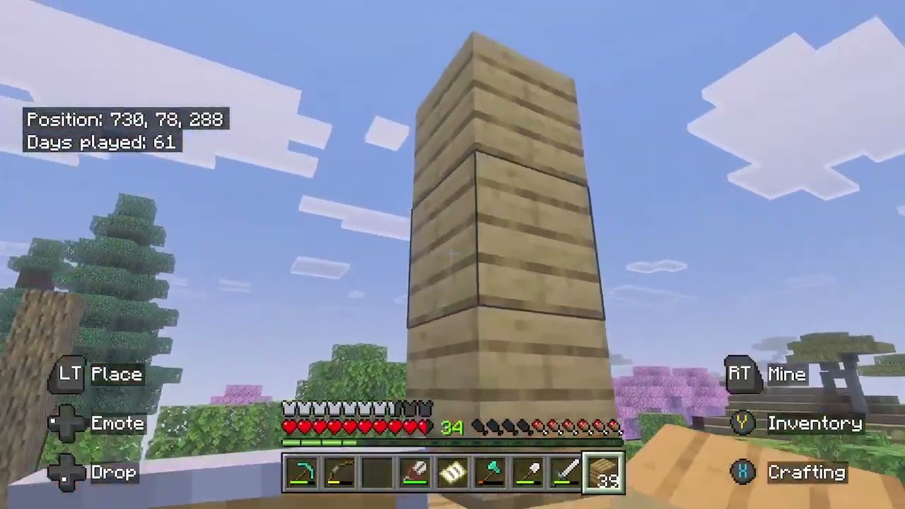 Minecraft survival