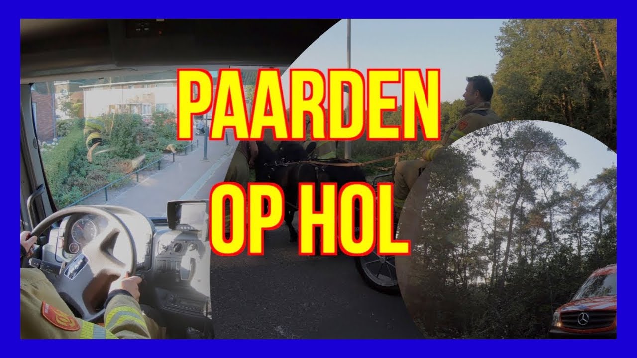 Paard op Hol  VOLUNTEERS DUTCHFIREFIGHTERS -  BRANDWEER LUNTEREN -