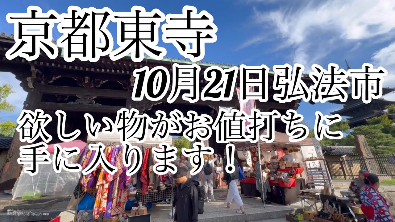 【京都東寺】10月21日弘法市/欲しい物がお値打ちに手に入ります！Affordable Toji Kobo Market in Kyoto#京都黒柴散歩