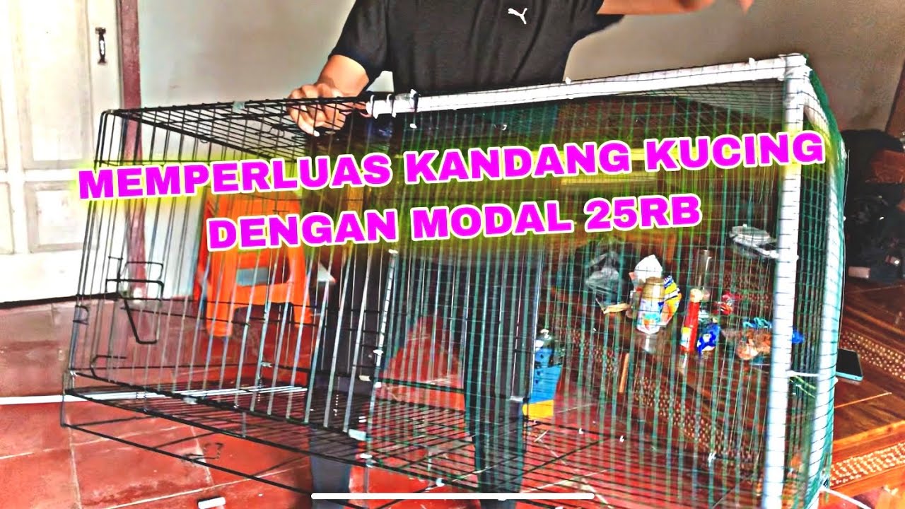 KANDANG KUCING JADI LUAS DENGAN MODAL 25RB 😎