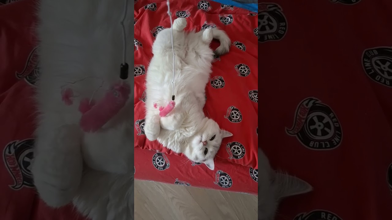 🤷‍♂️🤔нуу, не начинай🤣‼️(кому знакомо?)