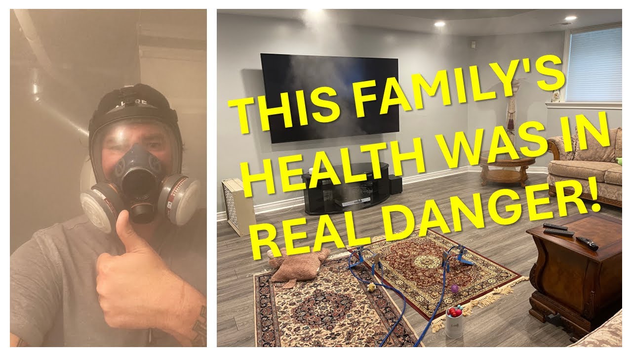 Basement Mold Remediation Rochester Hills Michigan Case Study