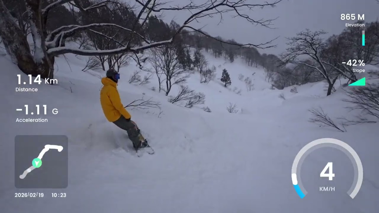 군마 트리런4