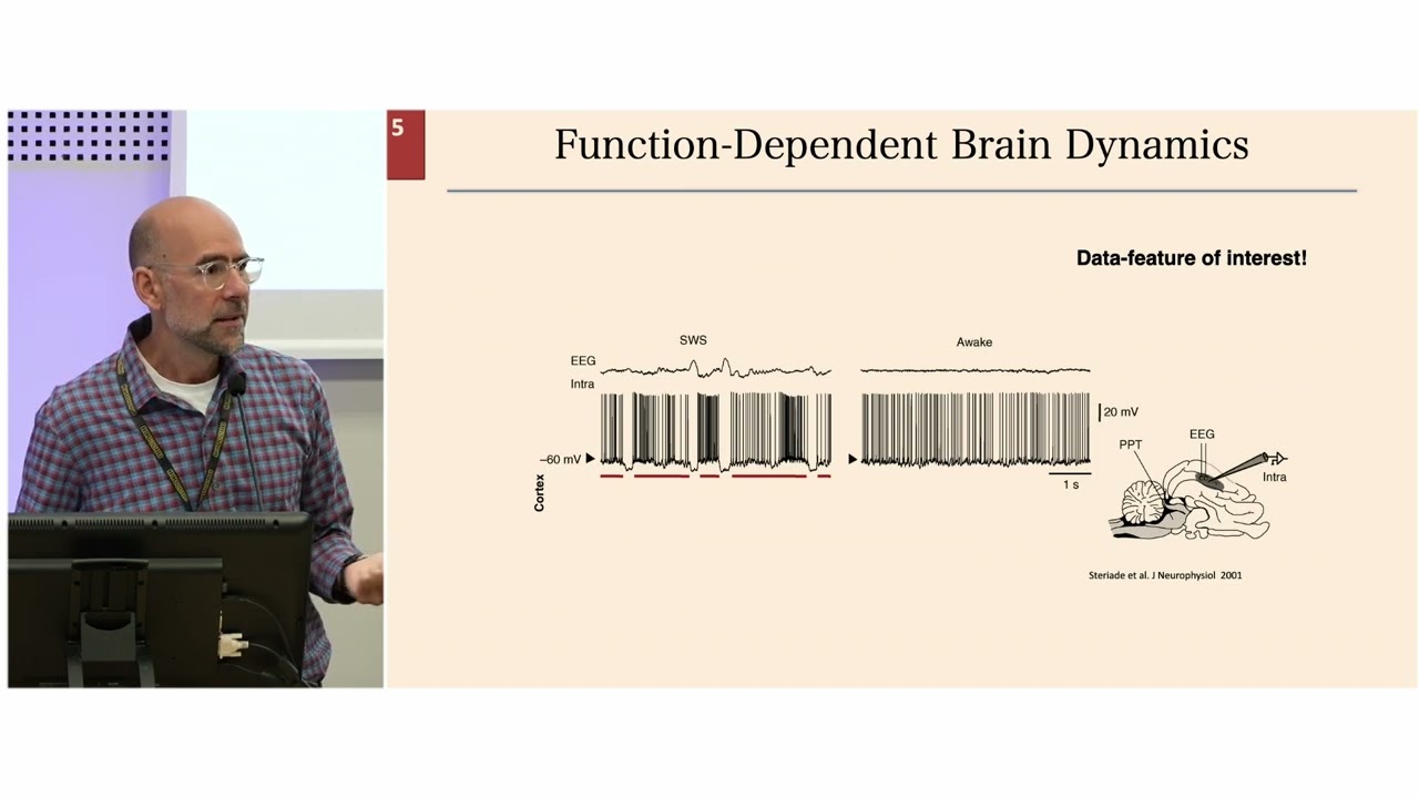 ICANN 2025 - The Virtual Brain - Spase Petkoski