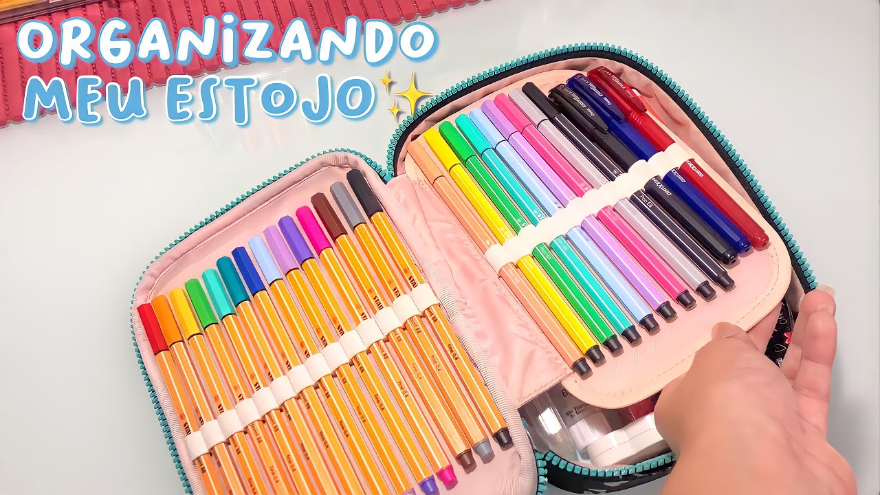 ORGANIZANDO MEU ESTOJO 100 PENS DA KIPLING PARA 2022 ✏️✨