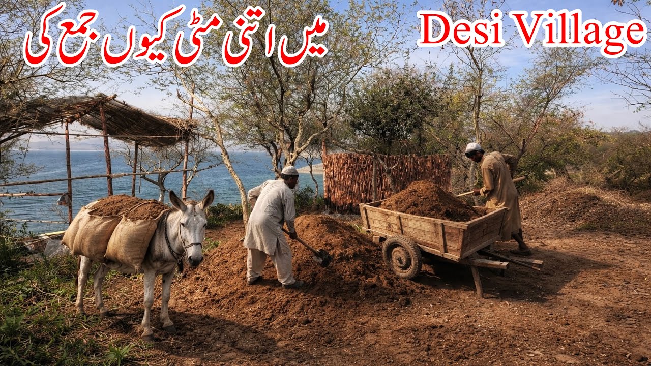 Desi Village Mein Naya Banda Kaun a Gaya 😳