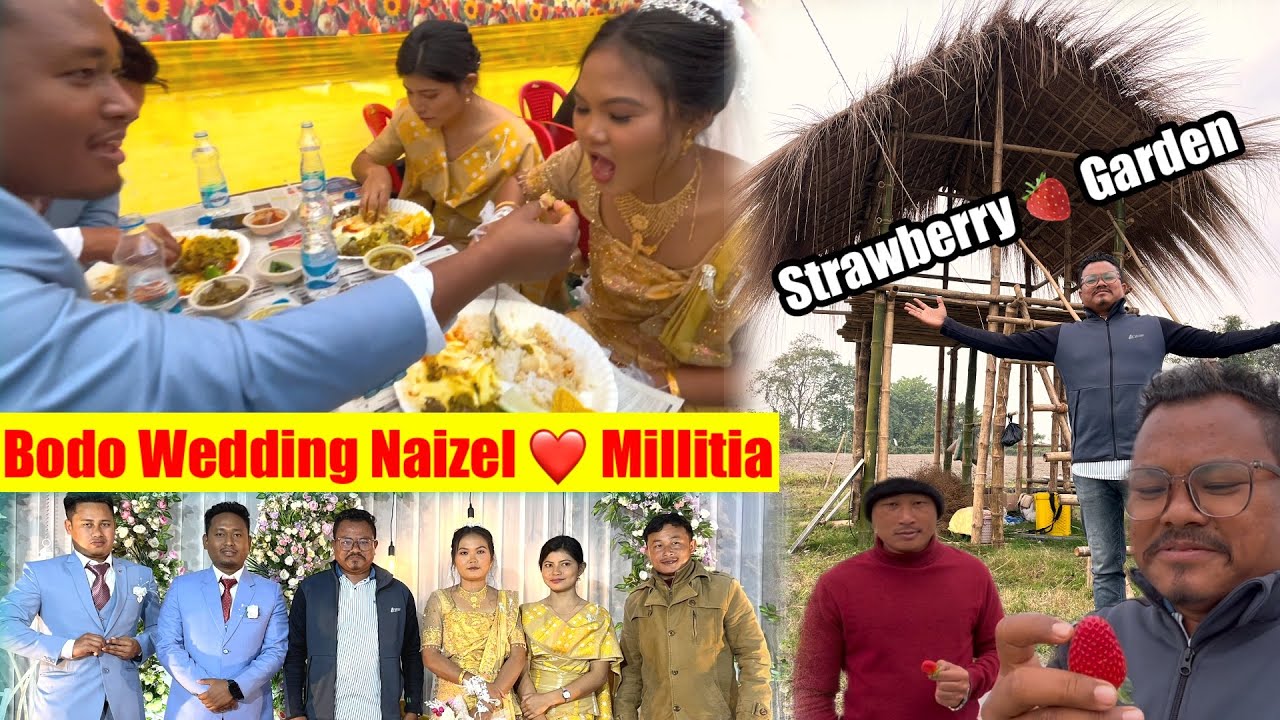 Bodo Wedding Vlog || Naizel ❤️ Millitia || Strawberry Farm || Meher nw Gwswtwnai Nangwo