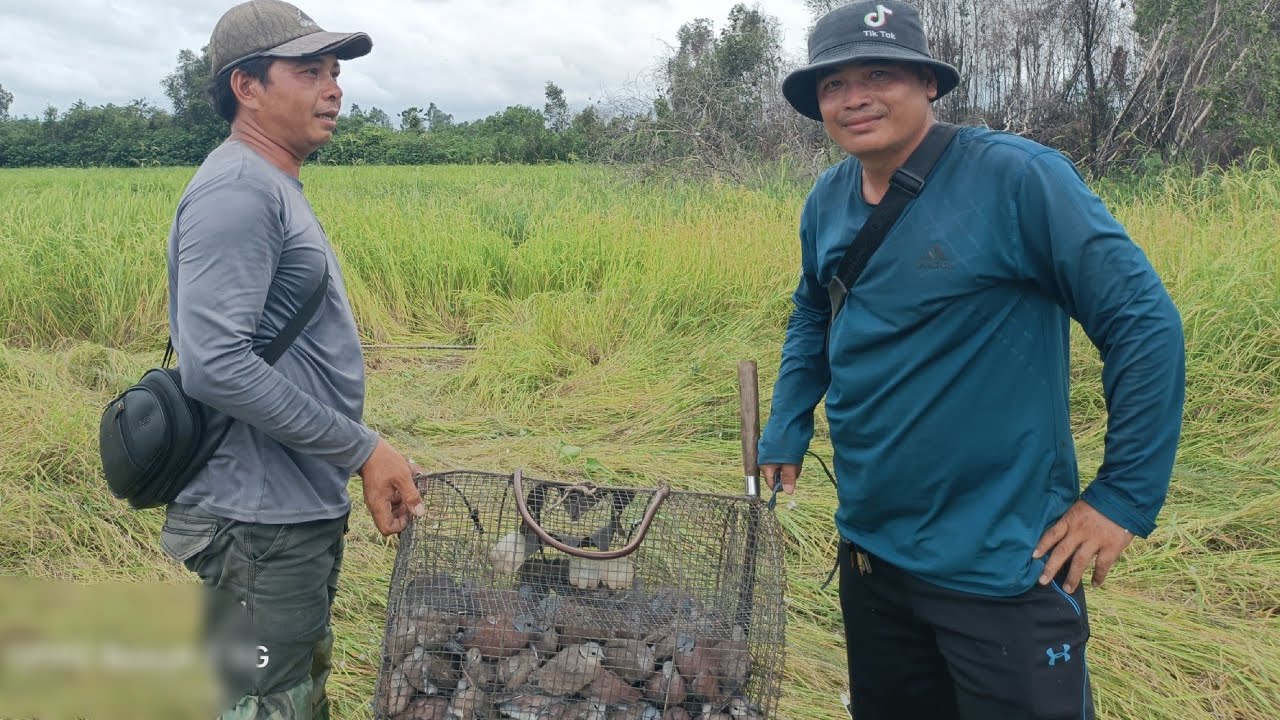 Trúng mánh bầy cu ngói