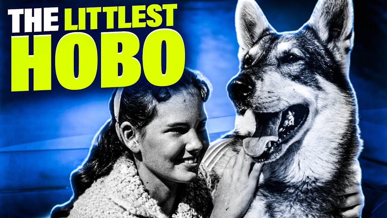 The Story of The Littlest Hobo