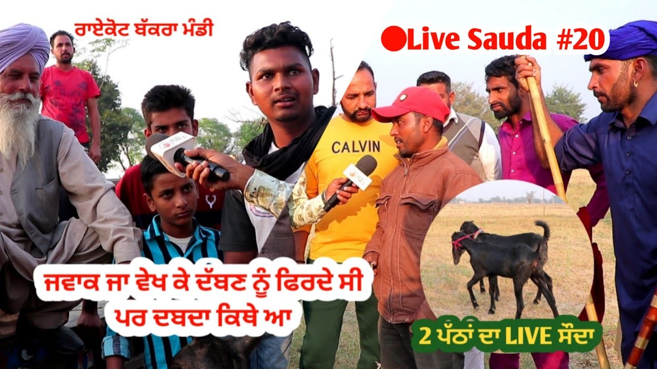 ਰਾਏਕੋਟ Live sauda #20 || Raikot Bakra Mandi || @ILTILANATV