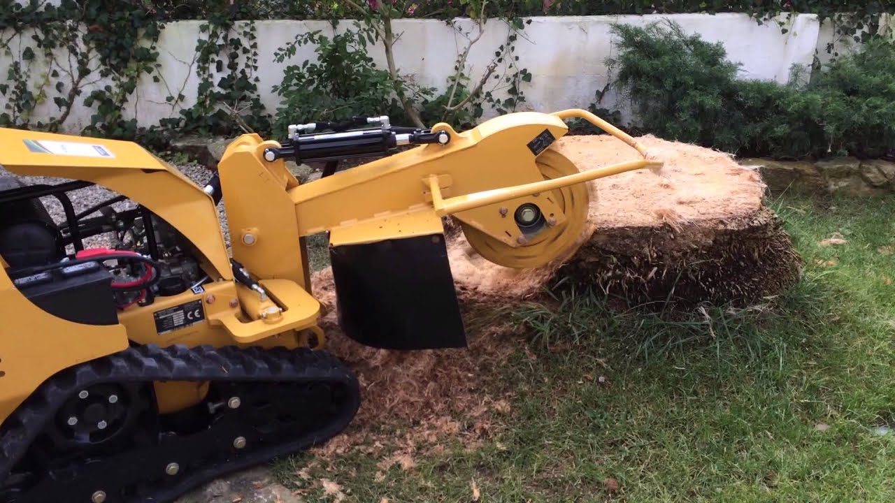 Desbastador de Cepos Vermeer SC30TX | Raiz de palmeira