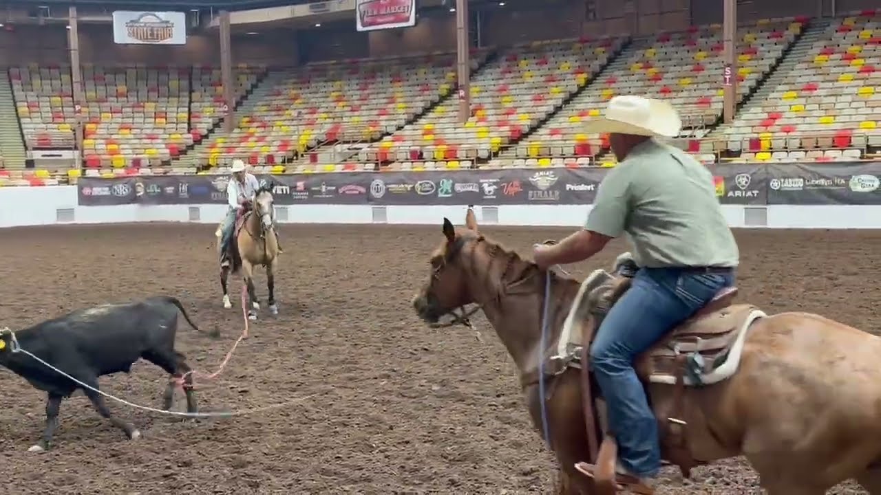 AQHA 2011 Red Roan Finished Head Horse - Unavailable
