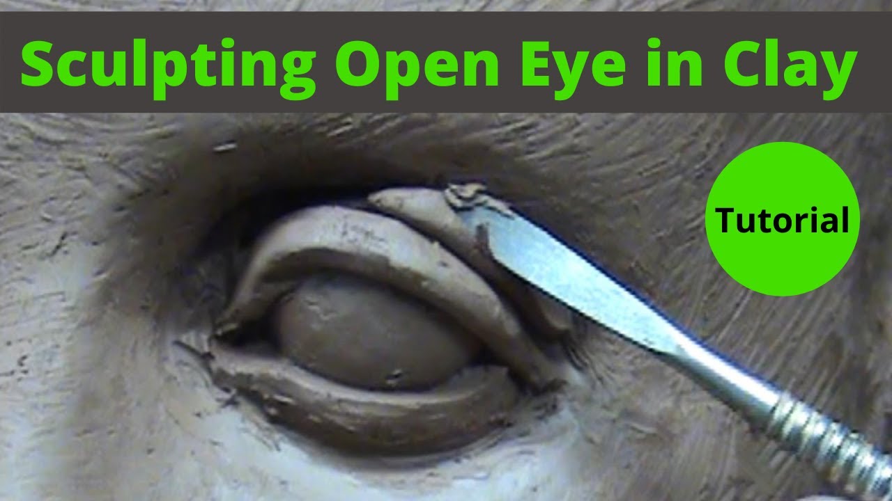 Sculpting open eye in a water based clay. Visual tutorial