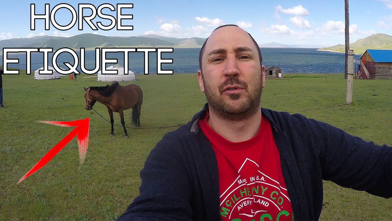 Things to Know Before Riding A Horse in Mongolia 🇲🇳