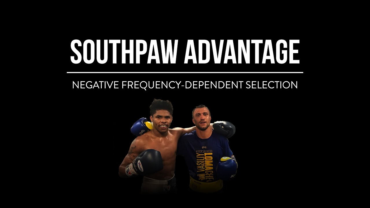 Why do SOUTHPAWS have an advantage?