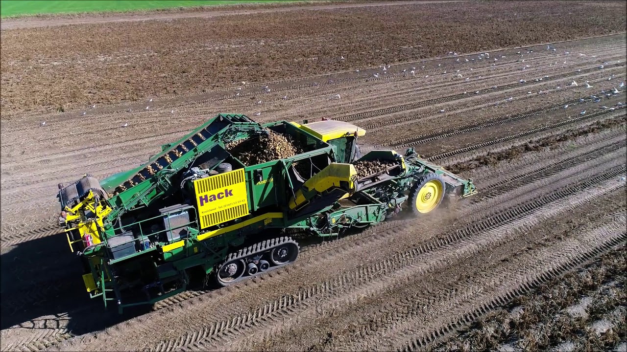 Aardappels rooien 2018 / Potato harvest / Kartoffeln ernte / Ploeger / Fendt / Drone agriculture