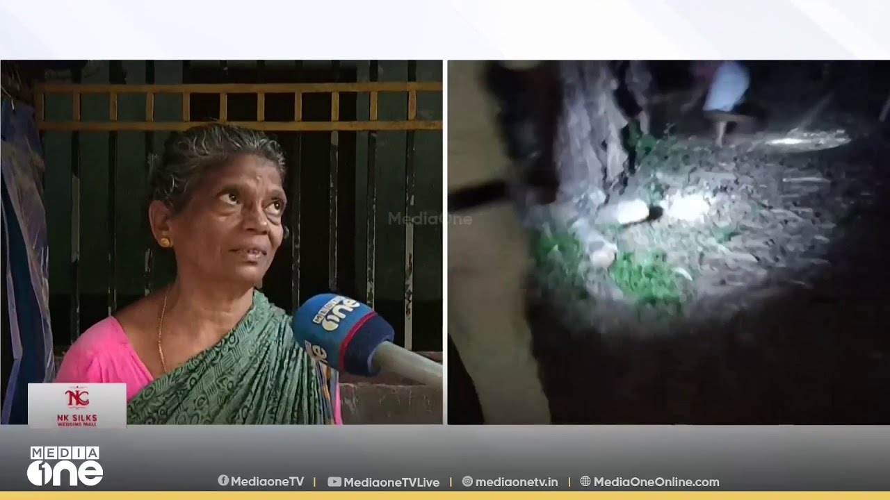 വയോധികയെ കടിച്ചുകൊന്ന നായയെ തല്ലിക്കൊന്നു ; നായയെ പിടികൂടിയത് ഇന്ന് പുലർച്ചെ