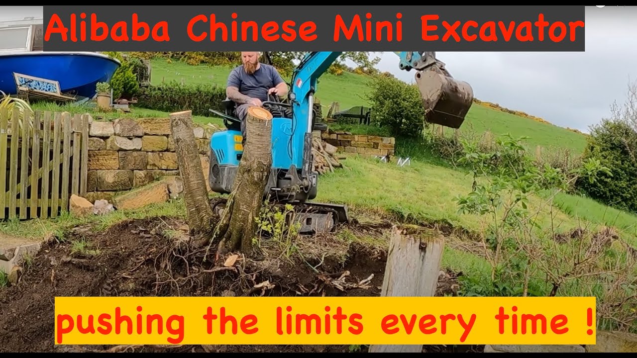 Alibaba Chinese Mini Excavator & A Bank Side Car Space ⛏️