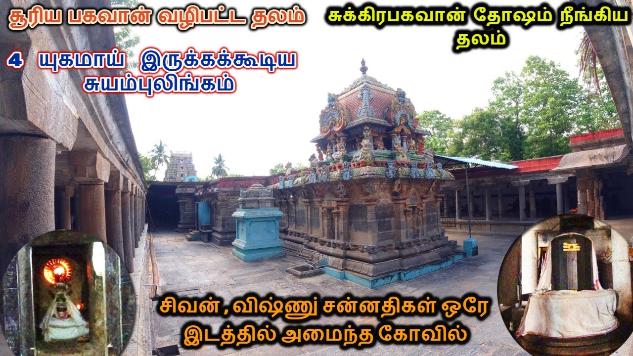 ஒரு தடவையாவது சென்று வர வேண்டிய பக்தஜனேஸ்வரர் சிவன் கோவில் | Bhakthajanewar Temple | Tirunavalur