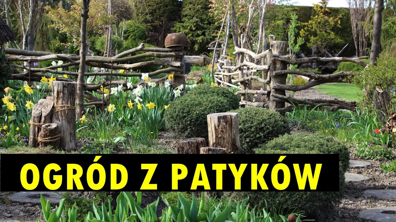 Pnie, konary i korzenie - to materiał na 