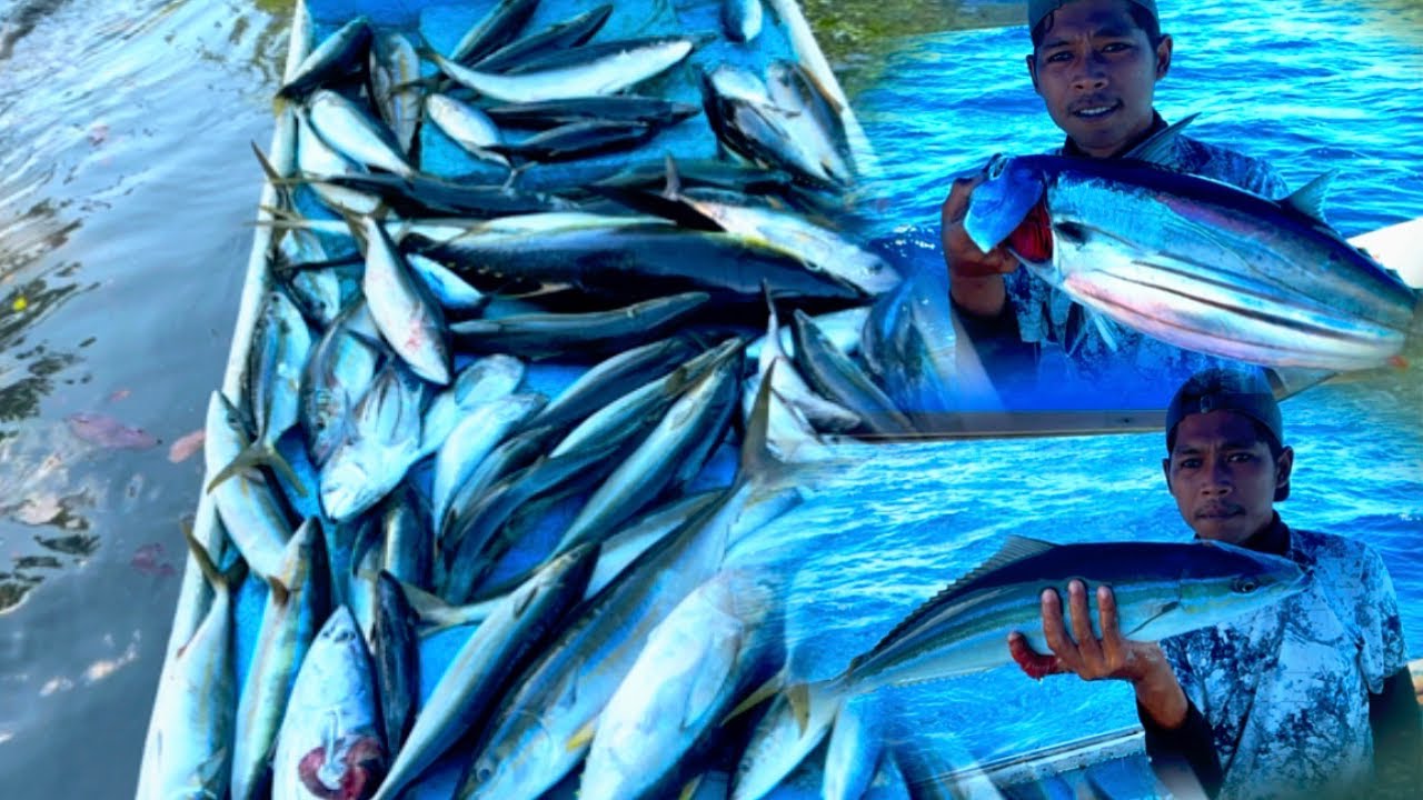 Mancing di saat ikan yang sedang kelaparan || banyak sambaran😱