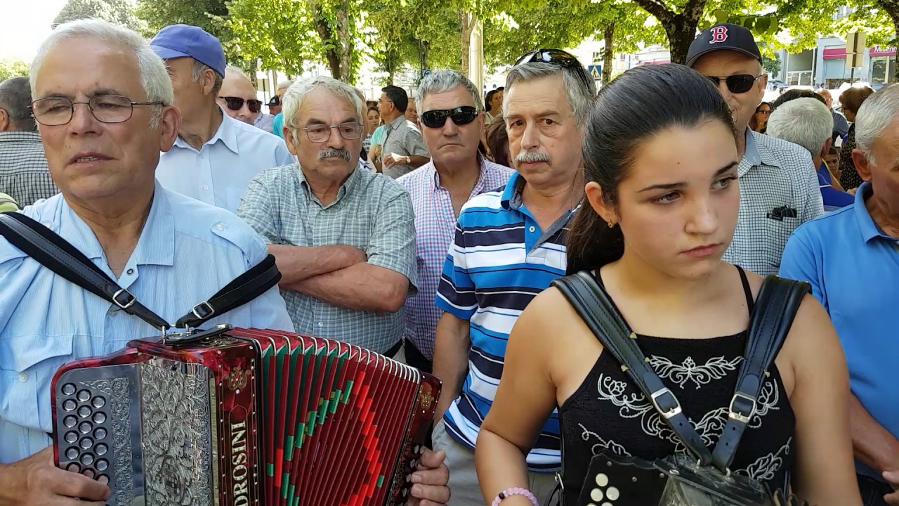 🔵 Concertinas I Vira Dançado