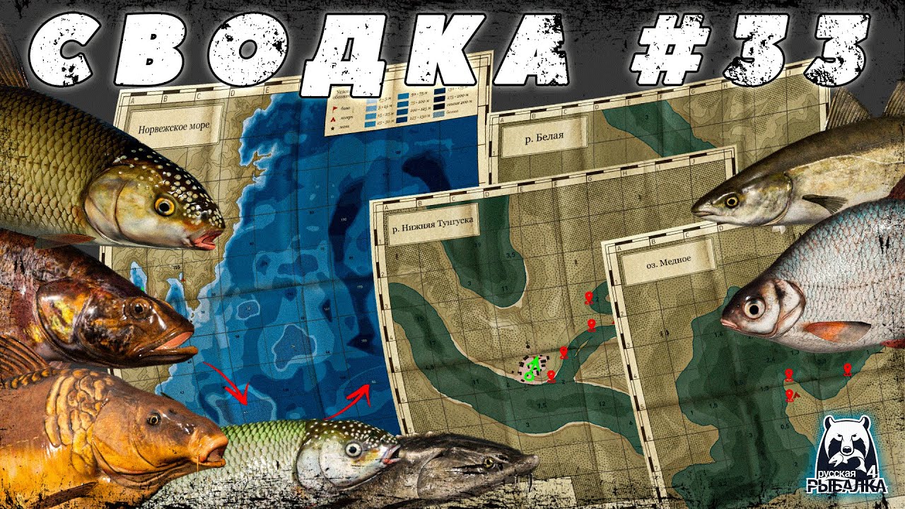 СВОДКА ПО ВОДОЕМАМ №33 | ФАРМ СЕРЕБРА | КАРАСЕКАРП | ПОЛЛАК| РОТАН | ЕЛЕЦ | ВЫРЕЗУБ | КУТУМ