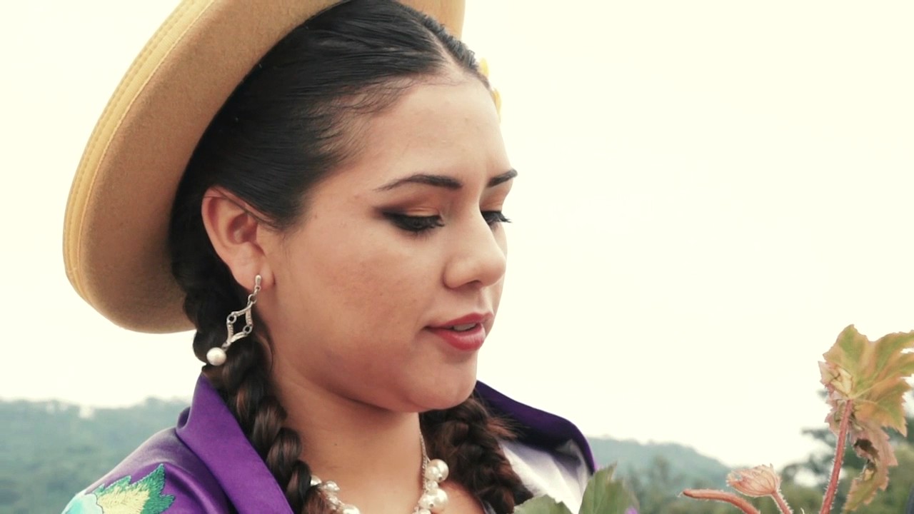 ERICK CLAROS - Cueca La Lecherita y La Forastera