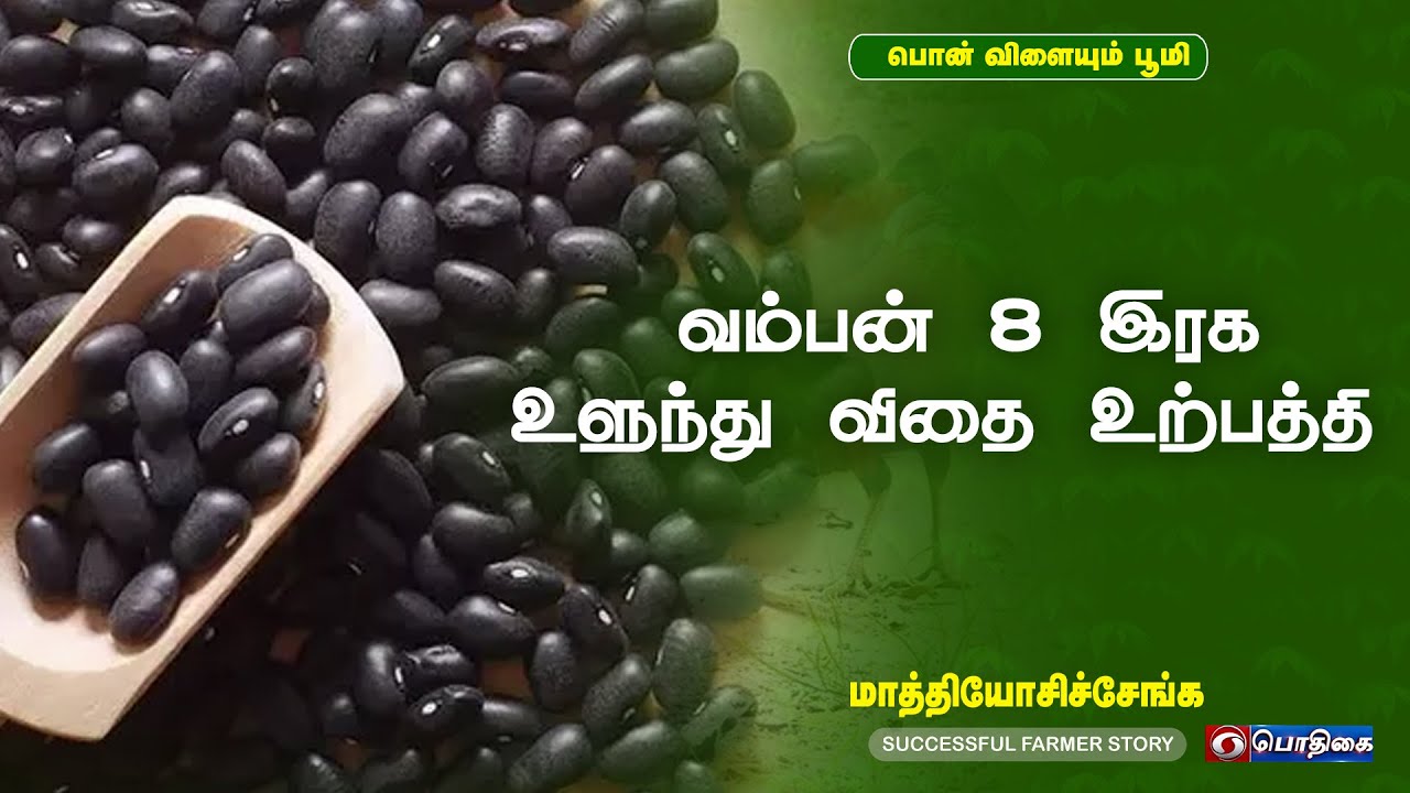 வம்பன் 8 இரக உளுந்து விதை உற்பத்தி  | மாத்தியோசிச்சேங்க | Successful Farmer Story  | 19 - 04 -2022