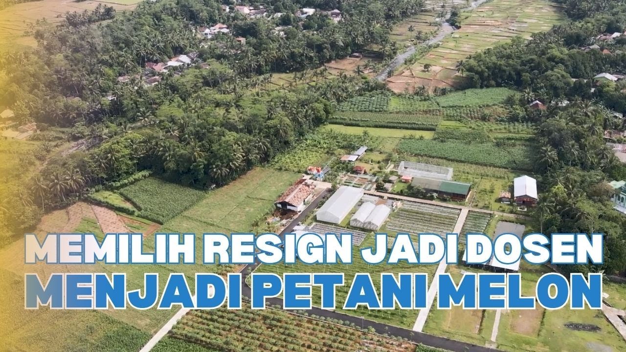 PERJUANGAN PETANI MELON MEMBANGUN EKONOMI DESA DARI SEKTOR AGIRBISNIS #melon #purbalingga #halobos