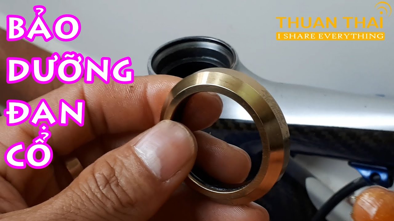 Cách bảo dưỡng kỹ ĐẠN CỔ xe đạp thể thao