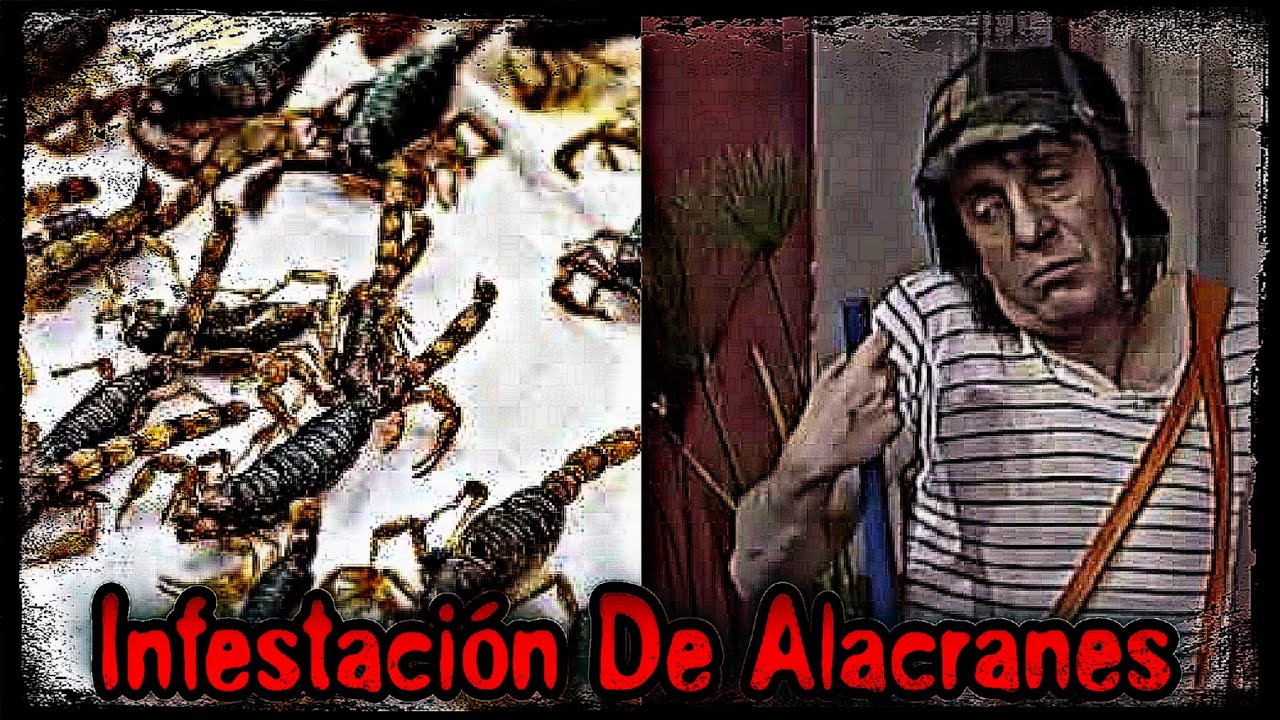 Infestacion De Alacranes | Creepypasta del Chavo del 8 