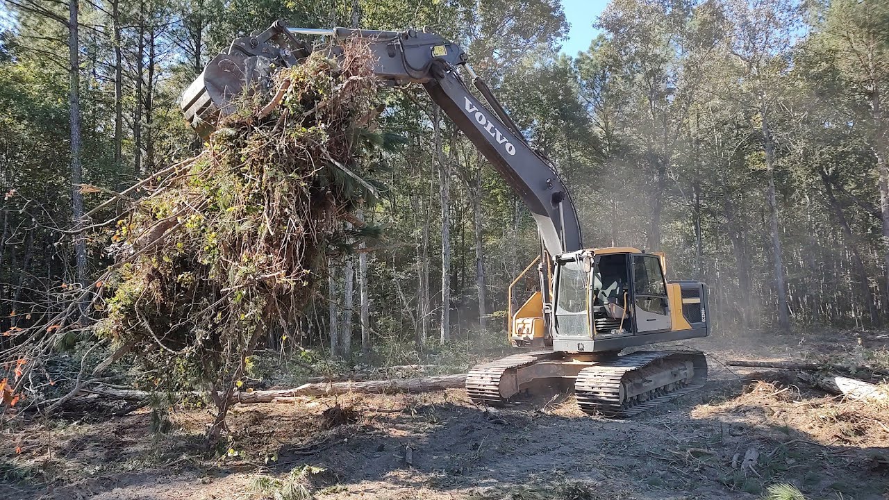 Helping Zach Clear A Lot For His House