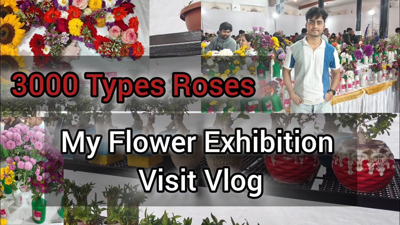 Flowers Exhibition | Gardening 😍 | Nature | Rose Day