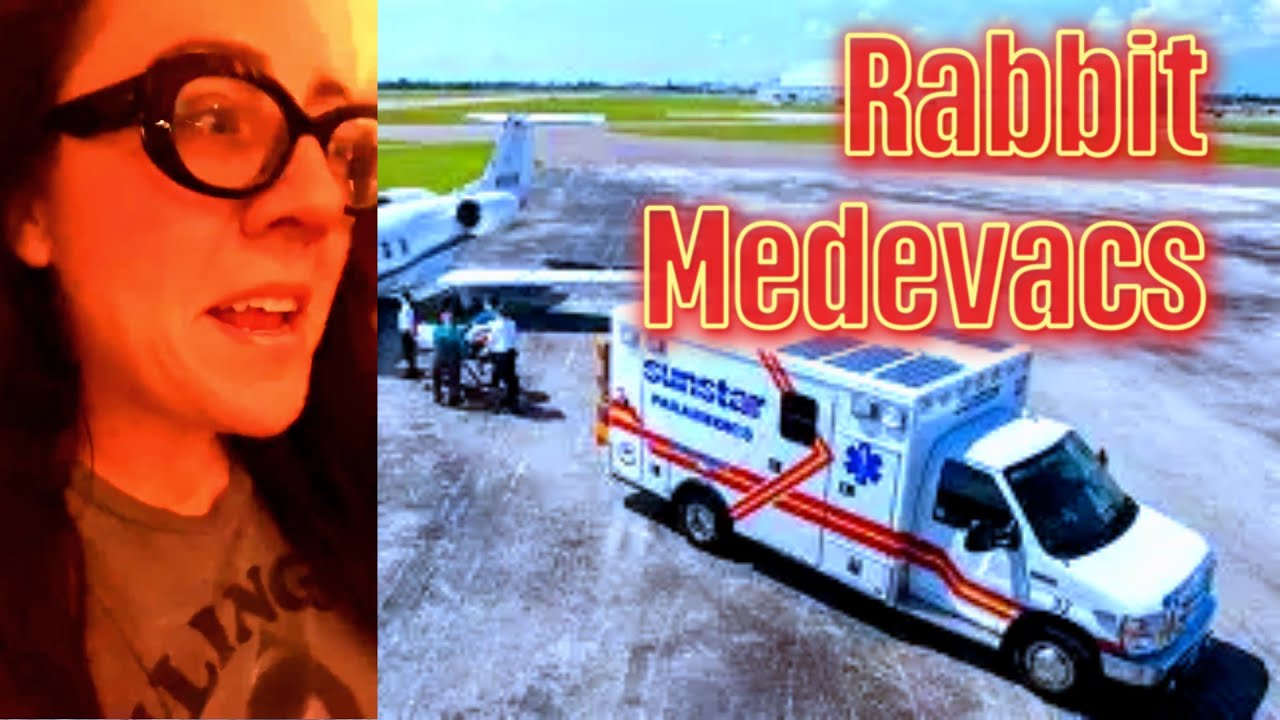 Медиевакс с кроликами... из Африки в Берлин!
