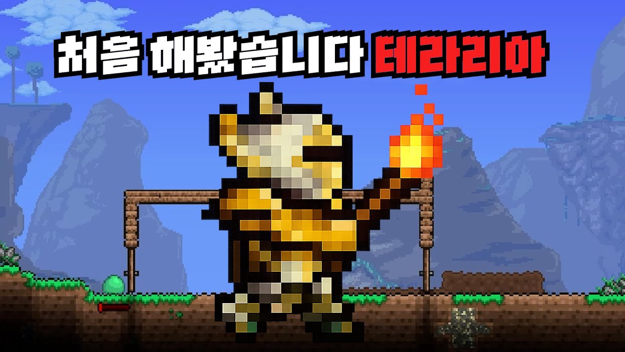 테라리아가 뭐예요?